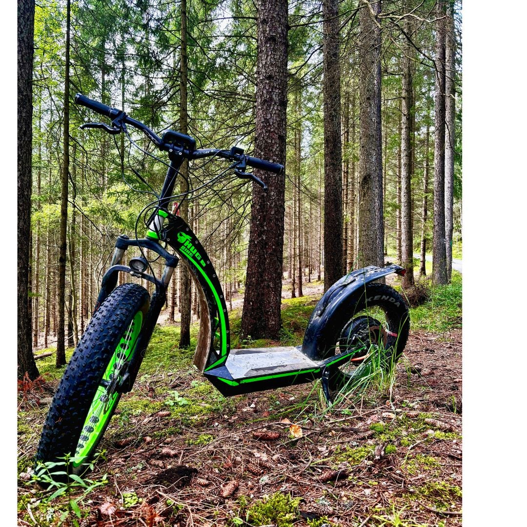 Jak nejlépe prozkoumat okolí? Na elektrokoloběžkách